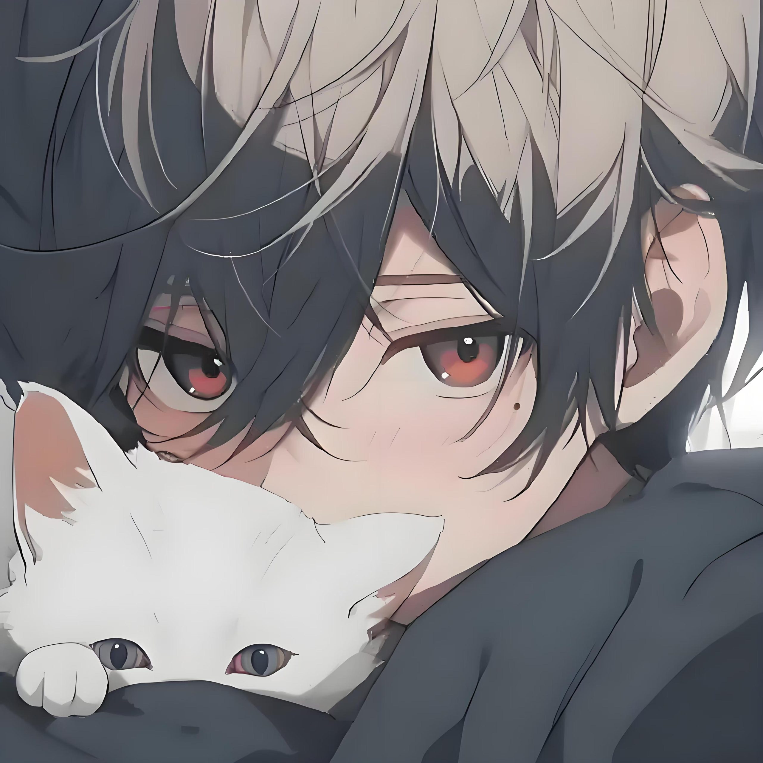 Komorebi And Noctiluca